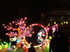-青岛方特梦幻王国