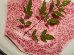 -然锅料理