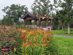 -张家湾公园