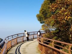 -少华山国家森林公园