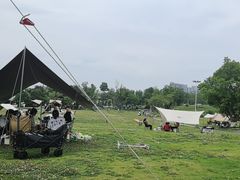 -桂溪生态公园