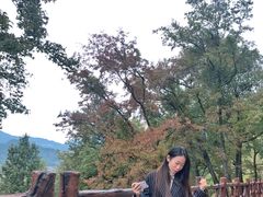 -广州市石门国家森林公园