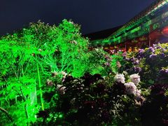 -曹州百花园