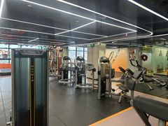 -健身专家Wellness Experts