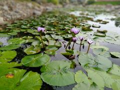 -南通洲际绿博园