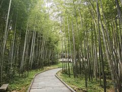 -青龙山国家森林公园