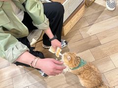 -天井·丑面包搭咖啡