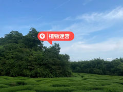 -大屏嶂森林公园