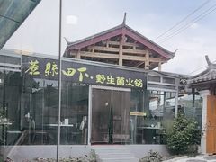 -蘑统田下·野生菌火锅