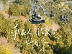 -香山公园
