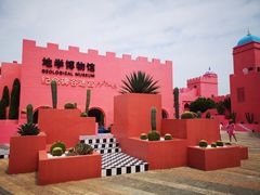 -漳州滨海火山岛自然生态风景区