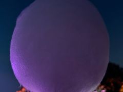 -合肥野生动物园