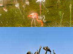 -杭州野生动物世界