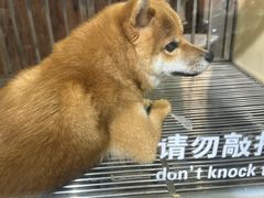-宠物世家(仲盛世界商城店)