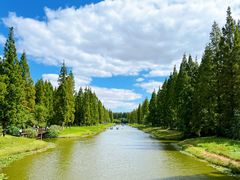 -黄海国家森林公园