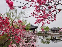 -无锡蠡湖国家湿地公园-蠡园