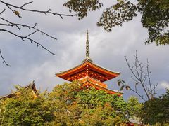 -有栖山 清光院 清水寺