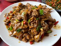 现杀果园鸡—黄焖鸡-生态苑农庄(十里画廊遇龙河店)