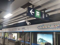 -知春路(地铁站)