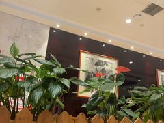 -洛阳水席园