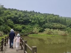 -孙武文化园-停车场