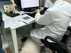 -申普宠物医院·心脏介入·心血管微创(总院)
