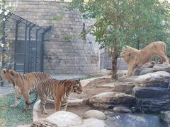 -北京野生动物园