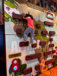 -卡通尼·Safari非洲探索乐园·生日会(金桥国际商业广场店)