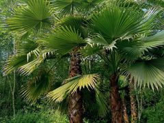 -桤木河湿地公园