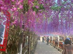 -呀路古热带植物园