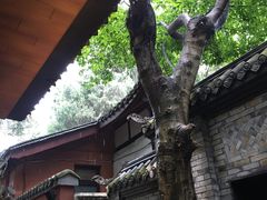 -星巴克(成都锦里店)