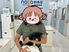 -纳吉亚猫专科动物诊疗中心(蒋宅口分院)