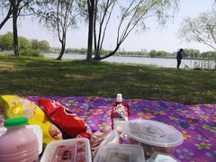 -长广溪湿地公园