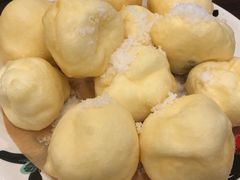 -长城东北菜(新港西路店)