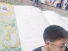 -观潮胜地公园