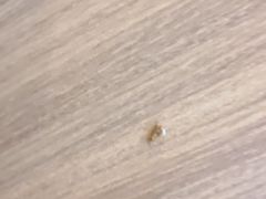 -萨莉亚意式餐厅(中北永旺店)