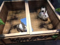 -酷嗒动物文化乐园(cutezoo西溪乐天城店)