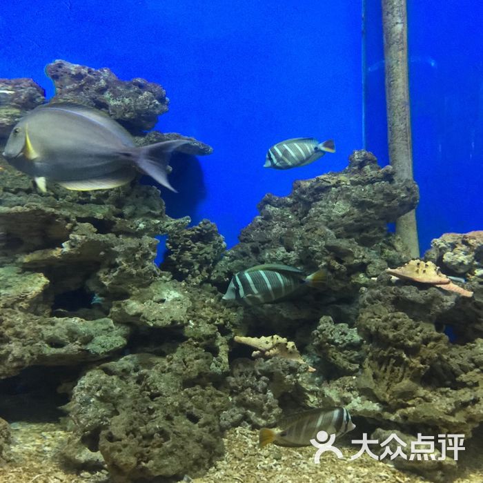 石家莊海悅天地海洋公園