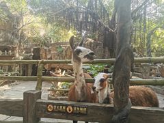 -长鹿旅游休博园