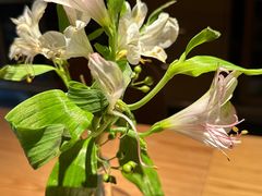 -一坐一忘云南菜(三里屯店)