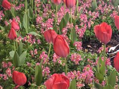 -杭州西湖湖滨银泰亚朵酒店