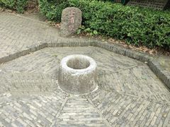 -上海佘山国家森林公园天马山园