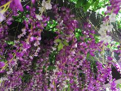 -歌斐颂巧克力小镇