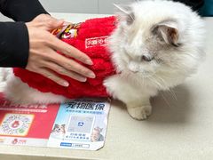 -宠颐生汉谟拉比宠物医院