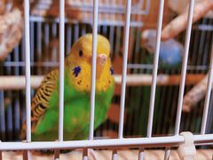 -舌尖上的食缘花园主题餐厅