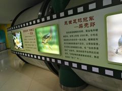 -上海昆虫博物馆