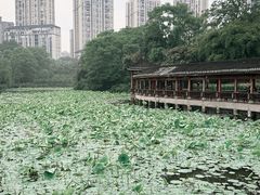 -龙头寺公园