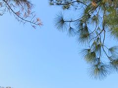 -南北湖风景区