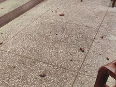 -巴人堂(女儿城店)