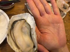 -土蚝·高压锅生蚝(百姓美食街店)